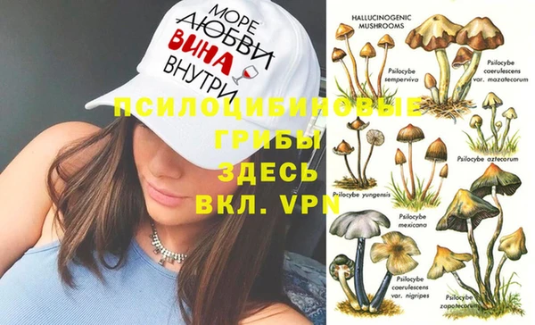 Альфа ПВП Алексеевка